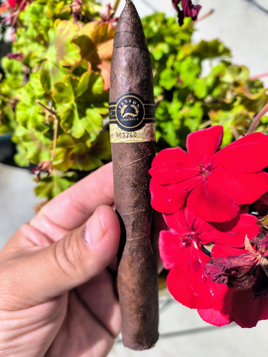 PuffSmokeNAsh's tweet photo. After Lunch Smoke in the #BackyardLounge with a @padroncigars Padron Black 97 #Maduro From spark 💥 up this thing is kicking ass 💥💪👀 tons of smoke 💥💨💨💨💨💨💨💨💨💨💨💨💨💨💨💨💨💨💨💨💨💨💨💨💨💨💨💨💨💨💨💨💨💨💨💨💨💨💥🧨 https://t.co/rOXjBr448K