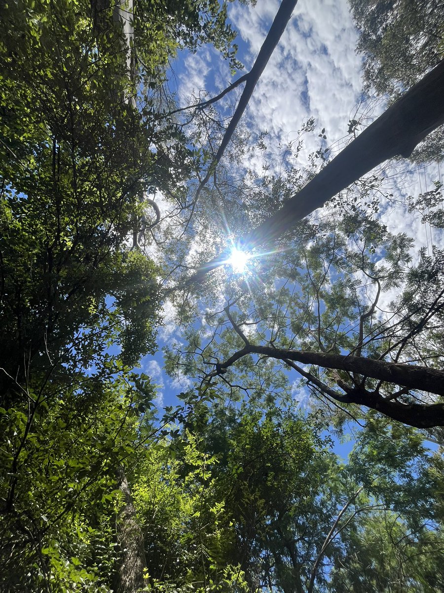 _teeago's tweet image. 