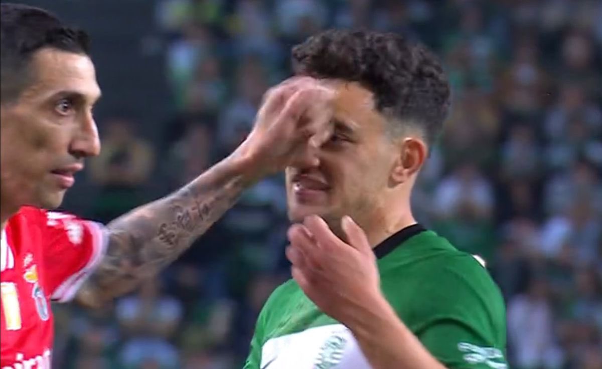 Sporting CP Adeptos 🏆 (@sporting_cpadep) on Twitter photo <a href="/SLBenfica/">SL Benfica</a> O primeiro golo do Sporting é validado porque está em jogo - podemos observar isso através de outro ângulo (sabemos que na vossa televisão não estão habituados)
“Para além disso, há episódios de agressividade extrema que deveriam ter merecido cartão vermelho” 😂😂😂 <a href="/SLBenfica/">SL Benfica</a> O primeiro golo do Sporting é validado porque está em jogo - podemos observar isso através de outro ângulo (sabemos que na vossa televisão não estão habituados)
“Para além disso, há episódios de agressividade extrema que deveriam ter merecido cartão vermelho” 😂😂😂