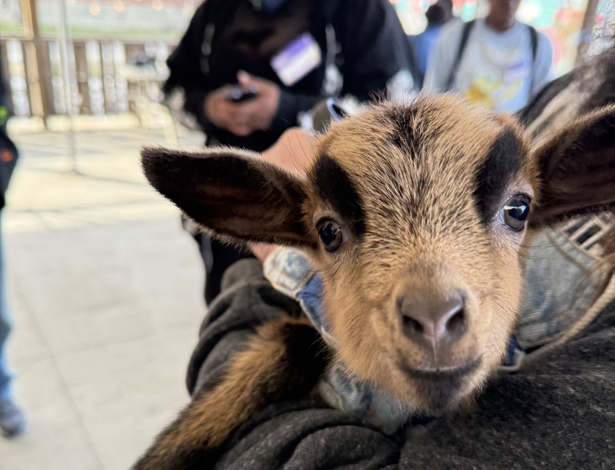 MemphisMeetup's tweet image. The star of the show has arrived: the G.O.A.T @Twitch #grindcitycreators