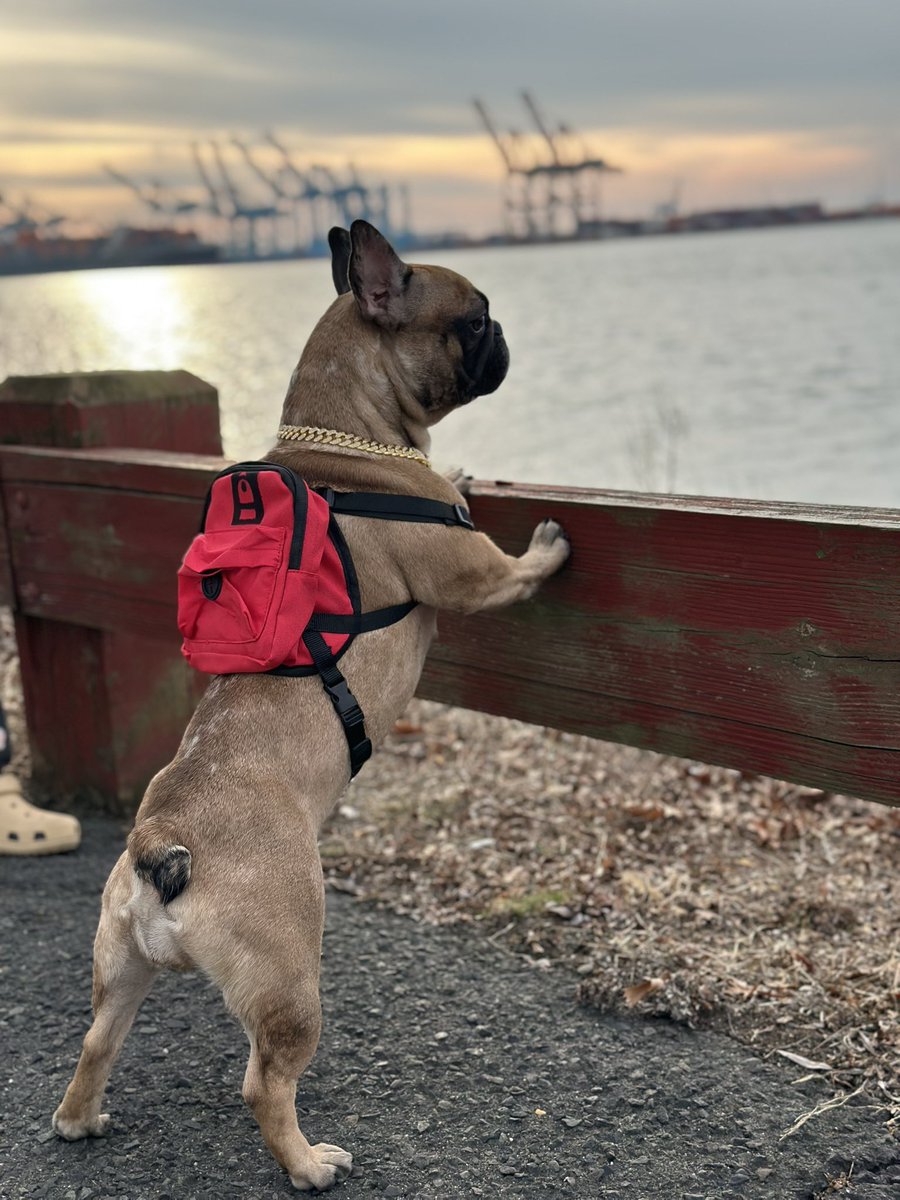 VadⓎm🍊 tweet media