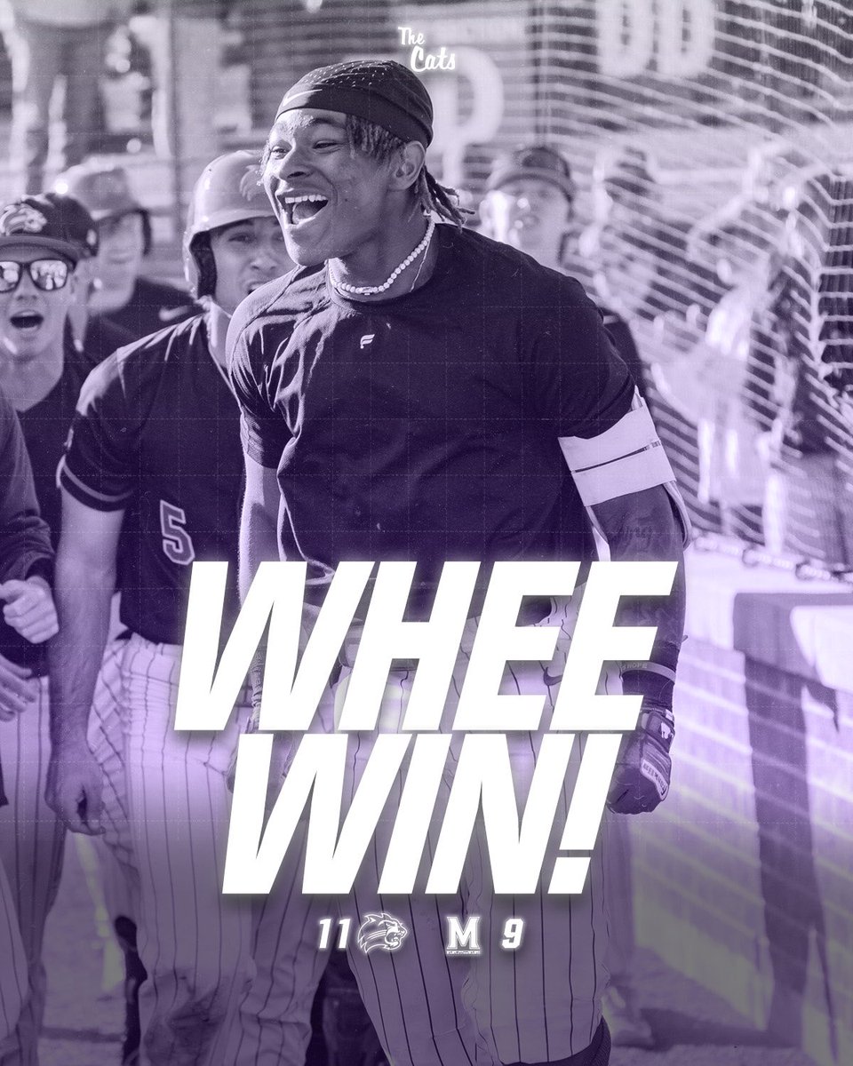 CATS TAKE THE SERIES‼️‼️‼️‼️

#WHEEWIN #CatamountCountry