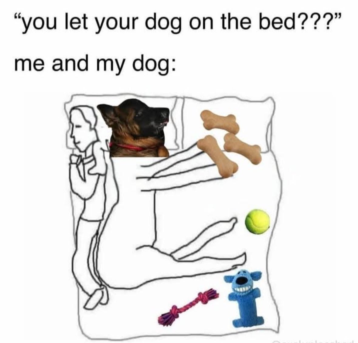 Respectful Memes (@respectfulmemes) on Twitter photo 