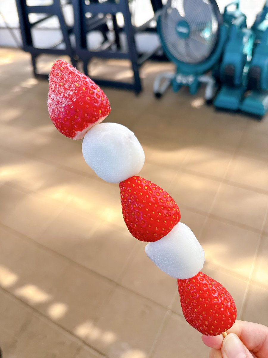 yu_uu_study's tweet photo. 春を少しだけ先取り🤏
今日を乗り越えたら少しはあったかくなるのかな。
最近、息抜きばかりでなかなか資格ポストできてませんが…無事に１つ歳を重ねることができました。親に感謝！家族に感謝！
（久しぶりにプリクラ撮ったら動画までデーターで送られてきて怖くなった。笑） https://t.co/LmjnDxlm30