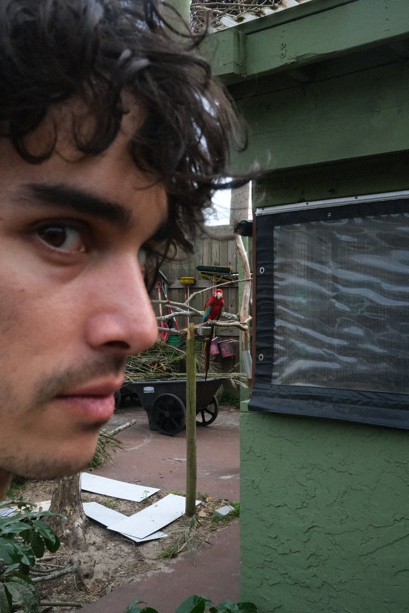 alwayswallows's tweet image. THIS IS SO CUTE