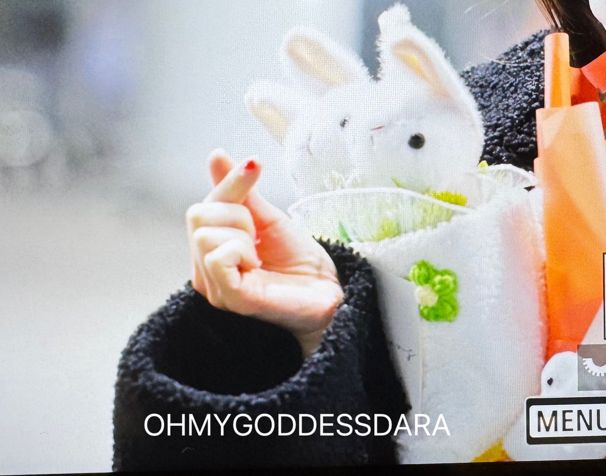 20250224 다라 입국 #산다라 #산다라박 #dara