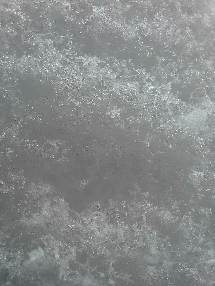 Katfire7722's tweet photo. Some of you have shiny ✨️/ new Pokémons . I have ❄️❄️❄️ #Winter #QuietWeekend https://t.co/N3C2jmw0nT