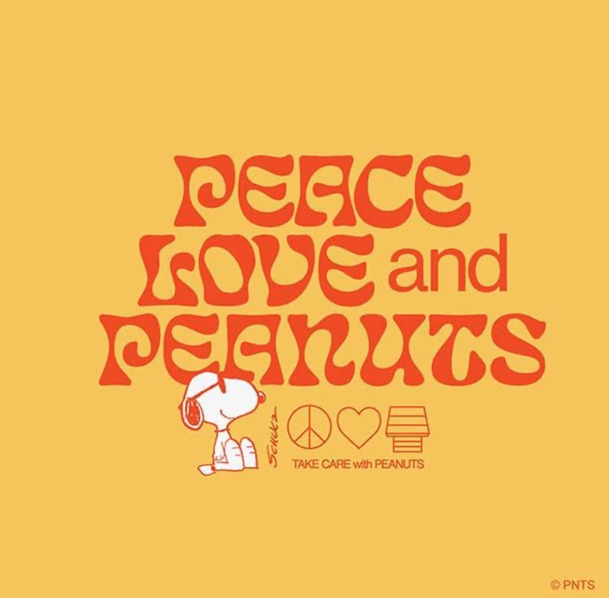 Peanuts_4Fans's tweet photo. ☮️ #Peanuts https://t.co/alQ40NynfZ