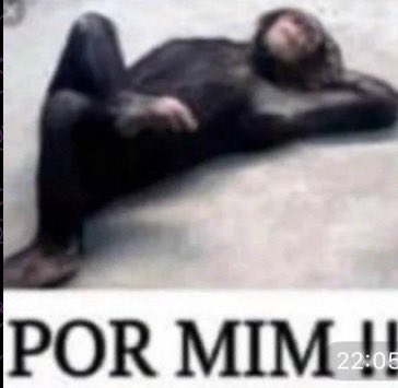 ᅟ ᅟᅟᐟ ﹫ 𝙴𝙼𝙸𝙻𝚈 ͏͏𝙱𝙻𝚄︪︩𝙽𝚃 . . . (@bluespoison) on Twitter photo 