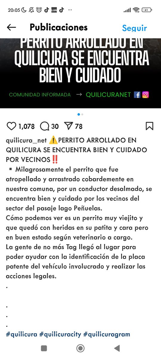 El perrito atropellado en #Quilicura de milagro sobrevivió al atropello de la bestia del auto blanco que aún no es identificado.
<a href="/iritas1117/">Irita 🌳</a> <a href="/patrmarsh/">𑁍ᑭᗩT ♀️🟣</a> <a href="/yiyibascu/">Virginia Bascuñán ✨</a> <a href="/eltuitdemarsh/">Marcela Andrea</a> <a href="/linddacarter/">Carter  Chile</a> <a href="/gloriabaettig/">Gloria Baettig</a> <a href="/_Malperro/">M&M Trewa🌳🌱</a> <a href="/cosmica_gatita/">maquitamarmota</a> <a href="/jrdevices/">Novissima music</a> <a href="/DiaztabitaE/">tabita diaz</a> <a href="/vrojaso77/">Verónica Rojas Orellana</a>