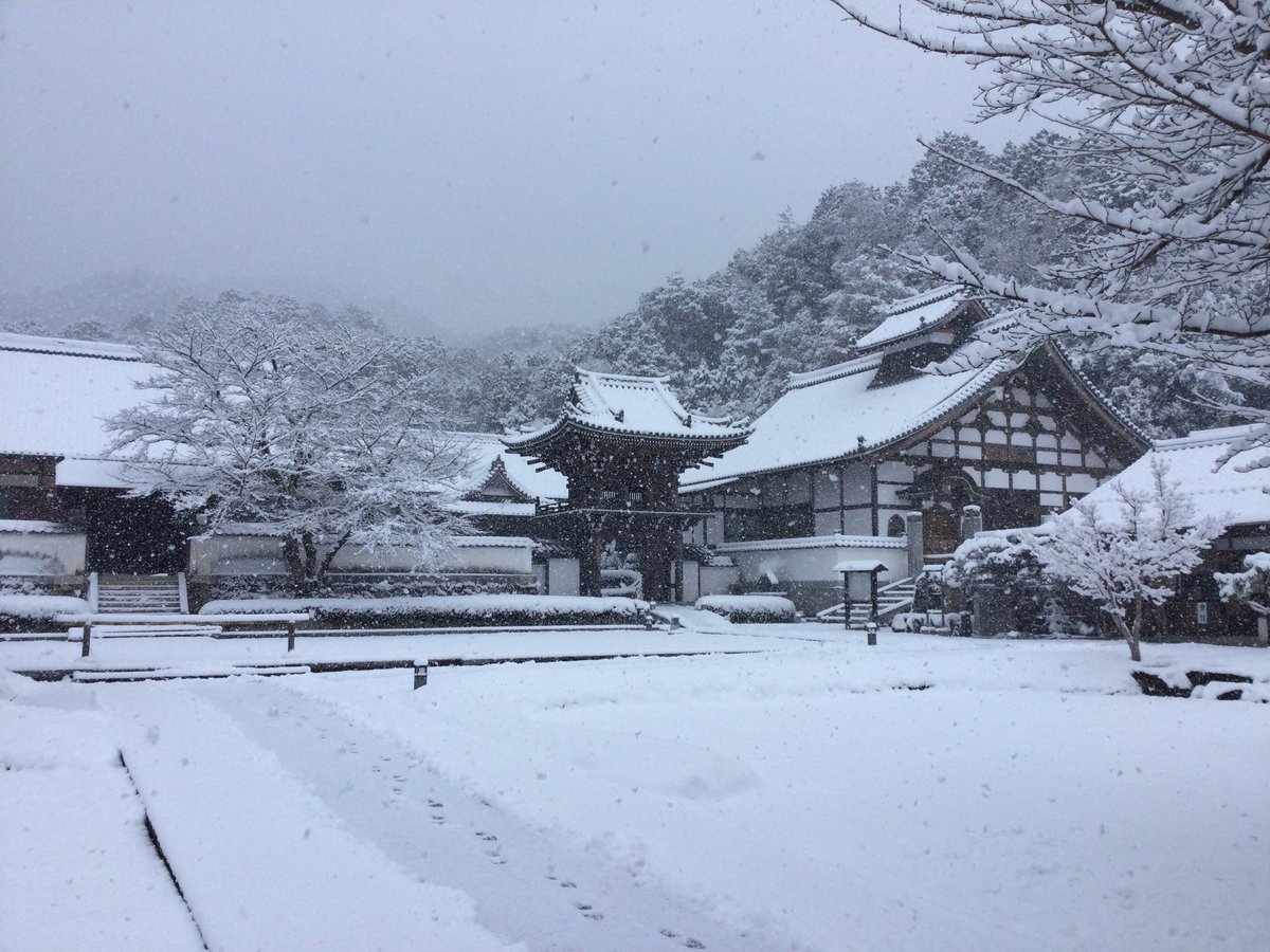 sesshutei's tweet photo. 今日(24日)の常栄寺雪舟庭です
雪景色の雪舟庭も素敵ですよ https://t.co/pv5YXZGIad