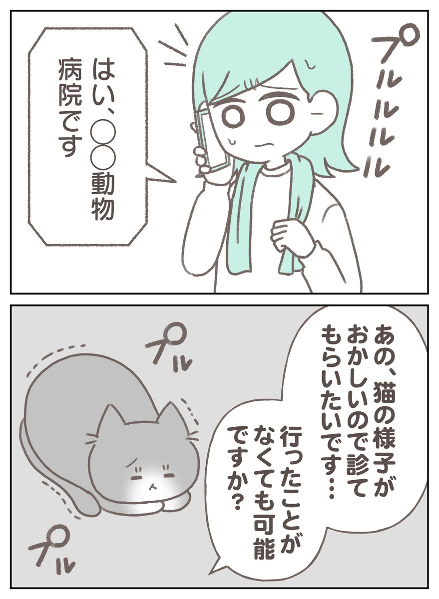 猫の体調が悪くなり
初めて深夜に動物病院へかけ込んだ話

(0/8) 