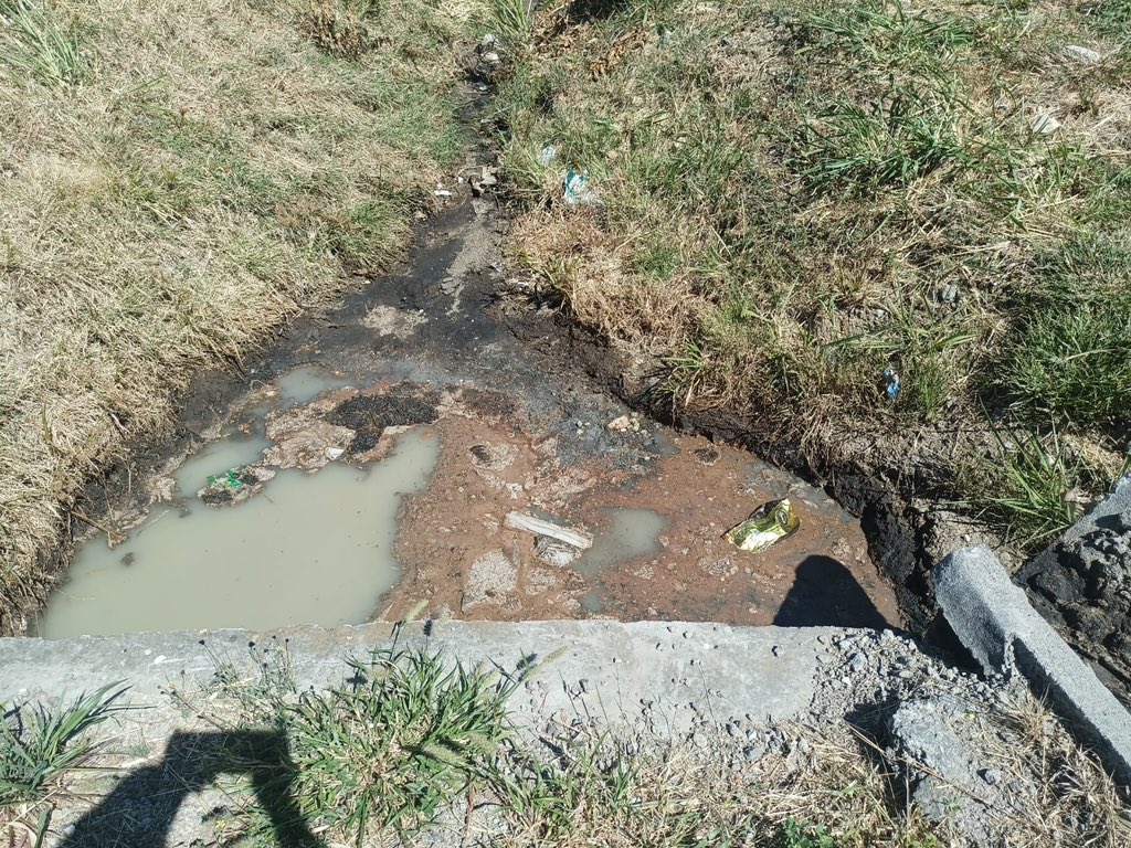 AguiluzKattia's tweet image. Están destruyendo el Parque Lorne Ross, vandalismo de los activos culturales, colocación de vallas en forma ilegal, incendios provocados y contaminación de afluentes. Todo bajo la mirada complaciente del MINAE. Y Pilar Cisneros dice que el terreno debe ser administrado por ellos.