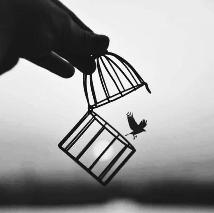 La costumbre a menudo nos hace vivir en una jaula, aún sabiendo que la puerta está abierta..