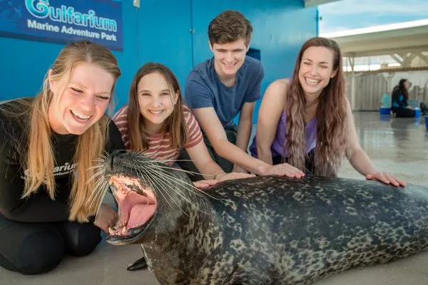 gulfarium's tweet photo. Gulfarium employs dedicated and educated professionals across many different fields. Learn more about our incredible staff that is devoted to creating unforgettable guest experiences as well as top notch animal welfare. https://t.co/yltKcjAolL
