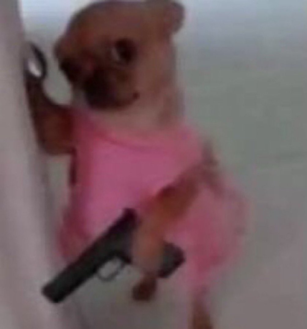 Nobody: 

Tommie to all the baddies: 

 #BaddiesMidwest