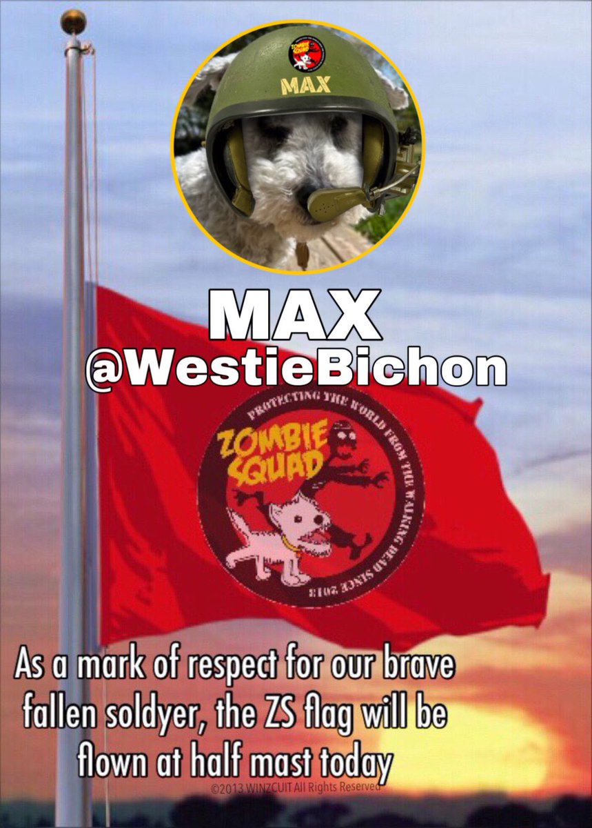 ZombieSquadHQ💖💚🧡💚🩵© (@zombiesquadhq) on Twitter photo 💔HQ lowers the flag for COLONEL MAX <a href="/WestieBichon/">Angel Max 😇and Angel Coconut 😇 🥥</a> who has crossed over 🌈bridge to join his friends in ZOMBIESQUAD OTRB🌈 Brigade. Please dedicate your next patrol to MAX & hold his MOM, family & friends in your thoughts. ZOMBIESQUAD FOREVER🫡
#ZSHQ 💔HQ lowers the flag for COLONEL MAX <a href="/WestieBichon/">Angel Max 😇and Angel Coconut 😇 🥥</a> who has crossed over 🌈bridge to join his friends in ZOMBIESQUAD OTRB🌈 Brigade. Please dedicate your next patrol to MAX & hold his MOM, family & friends in your thoughts. ZOMBIESQUAD FOREVER🫡
#ZSHQ