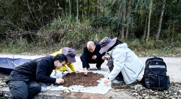 hijiangxi's tweet photo. 中國江西銅鈸山國家級自然保護區發現蜘蛛新物種：銅鈸山奧塔蛛，相關研究成果已在國際期刊《生物多樣性數據雜志》（Biodiversity Data Journal）上發表。

#China #Chinese #機遇中國 #中國的發展世界的機遇 #精彩中國 #騰飛中國 #Jiangxi #精彩贛鄱 #騰飛贛鄱 #炫彩贛鄱 #赣鄱文化 #樂享贛鄱 https://t.co/61RES5VtbD