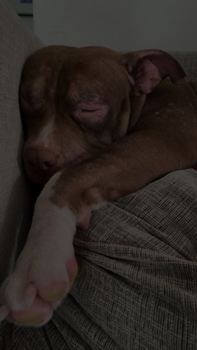 mi bebé🤎