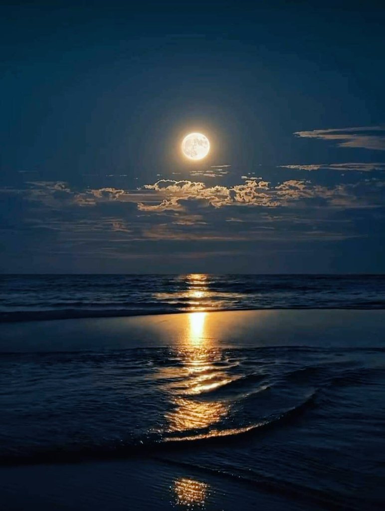 eljosealets's tweet photo. #GoodNight ✨🌌  &amp;  #EnjoytheLife
Cuantas preguntas sin respuesta tiene mi amiga luna...
Pero la esperanza que ofrece al ver la luz que refleja  si podemos sentirla https://t.co/S64K5pZa2V