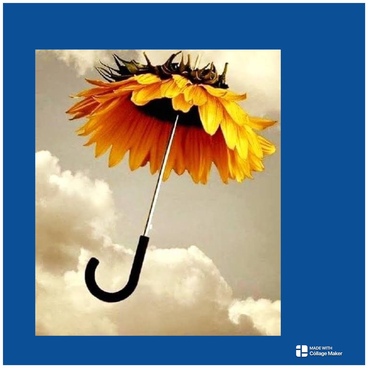 beadankelman's tweet photo. De regen valt,
geen zon te zien.
Somberheid,
bovendien.
Vrolijke zonnebloem - plu boven het hoofd,
zodat je weer in de zon geloofd.
#Dag55 https://t.co/NPludMyY9h