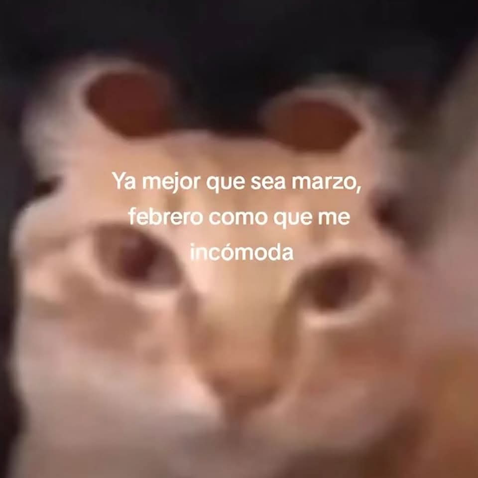 En Júpiter (@en_jupiter_) on Twitter photo 