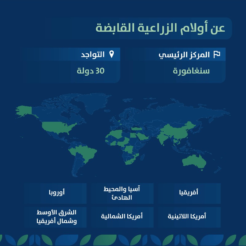 KSA_SALIC's tweet photo. تُعد أولام الزراعية القابضة إحدى أكبر الشركات في قطاع الأغذية الزراعية.

تعرّف أكثر على أولام، ومجالات خبرتها، وقدراتها التشغيلية، ومراكز تواجدها حول العالم.