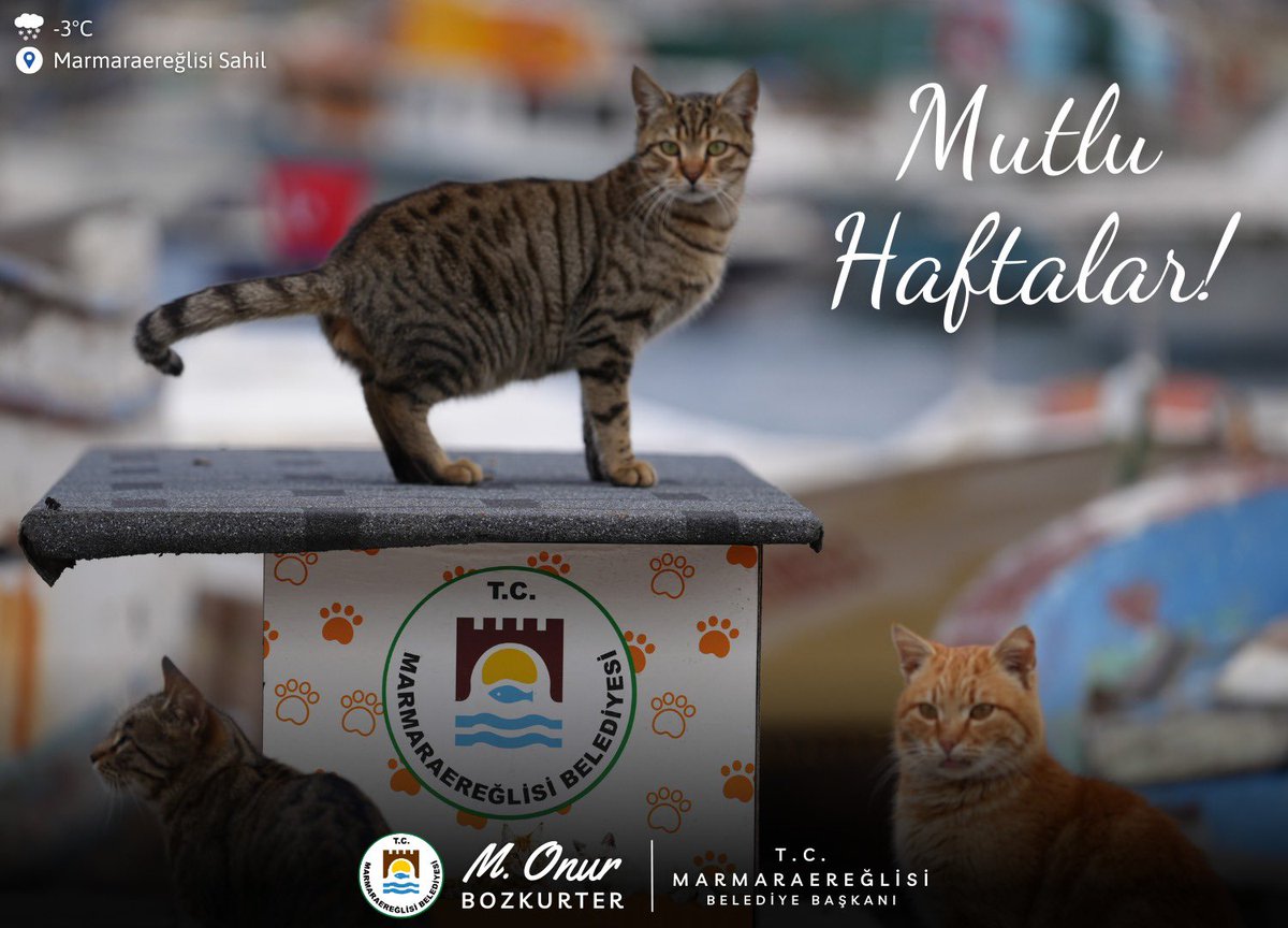 Mutlu Haftalar Marmaraereğlisi!

Bu soğuk havalarda can dostlarımızı unutmuyoruz! 🐾 İlçemizin çeşitli noktalarına sokak hayvanlarımız için sıcak yuvalar yerleştirdik. Sizler de bir kap su, bir kap mama ile onların hayatına dokunabilirsiniz. Unutmayalım, iyilik paylaştıkça büyür!