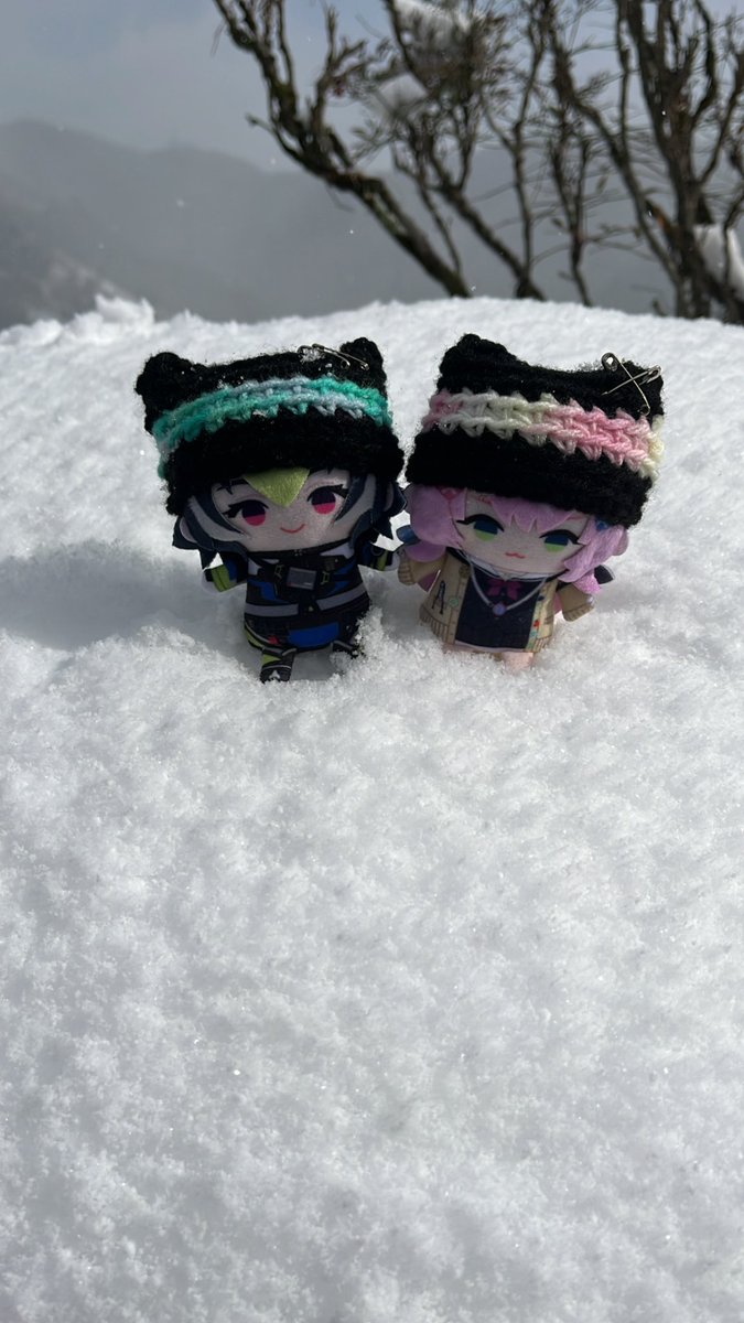 re_na_f's tweet photo. おそろい
 #うちのまおさま
 #ちいさいなみ https://t.co/SEDbY2eP9G