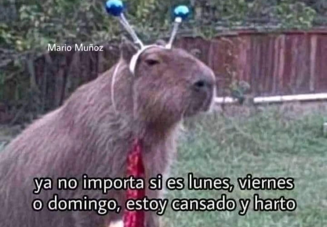 En Júpiter (@en_jupiter_) on Twitter photo 