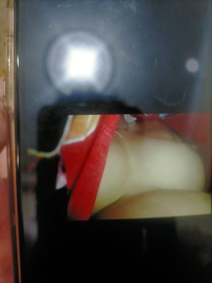 aus_chub's tweet photo. Pagi pagi udah pap aja https://t.co/CNb8SYQVqk