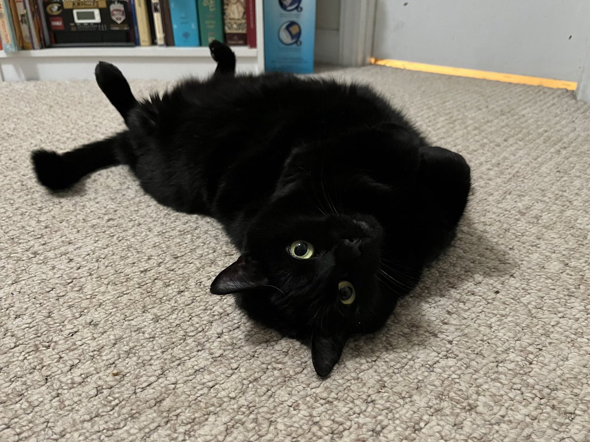 echo262's tweet image. 