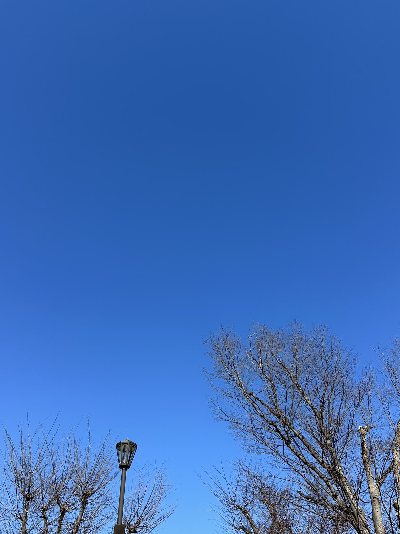 荒木健太郎 on X: 
