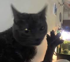 dabloons tweet media