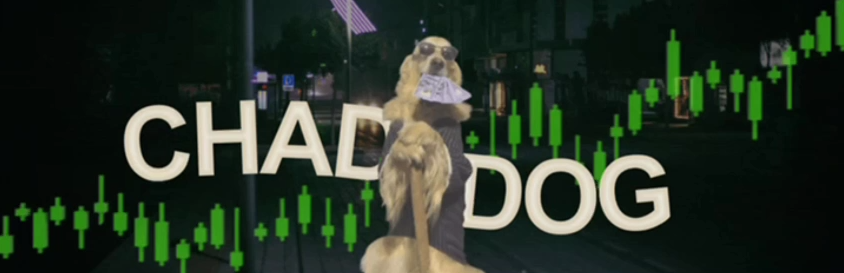 PolishBread101's tweet photo. @ApeCryptos Get some CHADO on #solana 
Check our TG community 

Ess9dZiLE3671U3wjVSDeS3pzrivy4rTRoQX8SG5pump https://t.co/zq5K5QyJLY