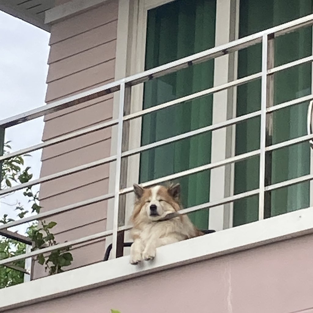 panndyoo's tweet photo. รับบทกล้องวงจรปิด (ปิดจริง😪) https://t.co/MPSHdLBThx