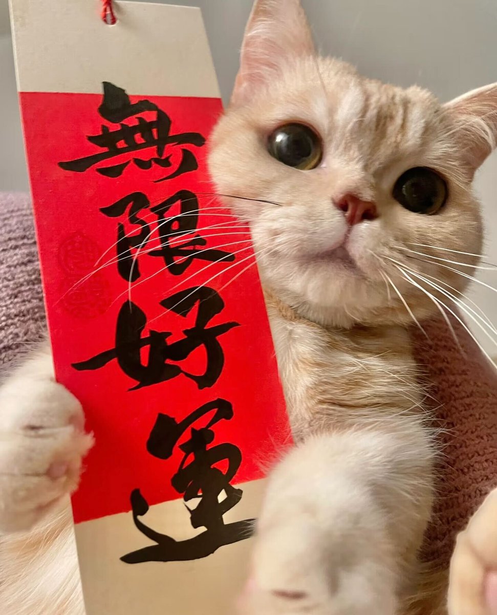 HuobiGlobal's tweet photo. GM！☀️🌻
🌈好运猫猫助你开启新的一周😚

点赞领取无限好运❤️
#HTX火币 #meme #luckyweek https://t.co/xhQ3pOi4cM