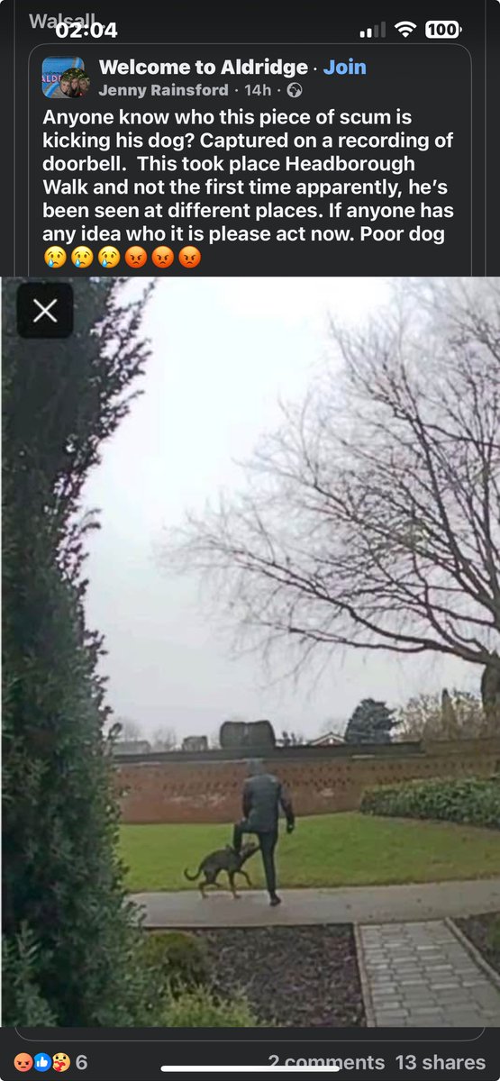 bea1060's tweet photo. ANOTHER SCUMBAG DOG ABUSER - HEADBOROUGH WALK, ALDRIDGE, WALSALL WS9 

LETS MAKE HIM REALLY FAMOUS - PLS SHARE FAR &amp; WIDE 🤬🤬🤬🤬🤬🤬

— with Postcode Pets and Julie Evans Stepham. https://t.co/pbBPVvzt4w
