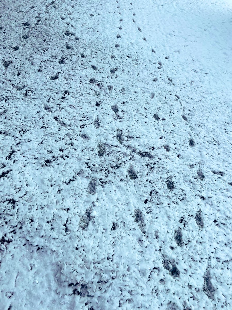 #ThoughtoftheDay Be a #FinLit leader! Make a positive impact on the world by sharing your journey and leaving your footprints for others to learn from and follow!