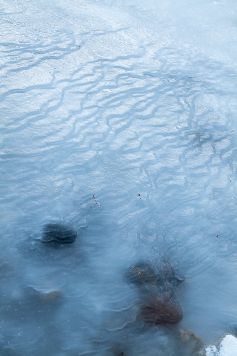 nyorohas's tweet photo. Texture of nature. https://t.co/85Ilvxt0Lk