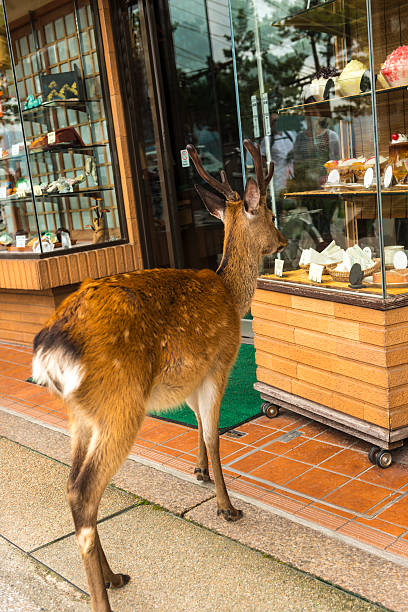 VOZI ロロ・ラブ (@lolovozi91621) on Twitter photo 