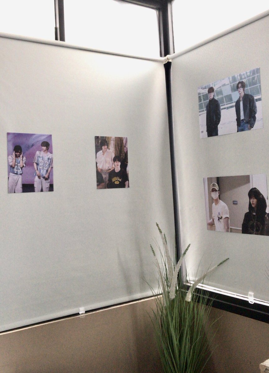 𝖻𝖺𝗂𝖼𝖺𓃴𓃠 tweet media