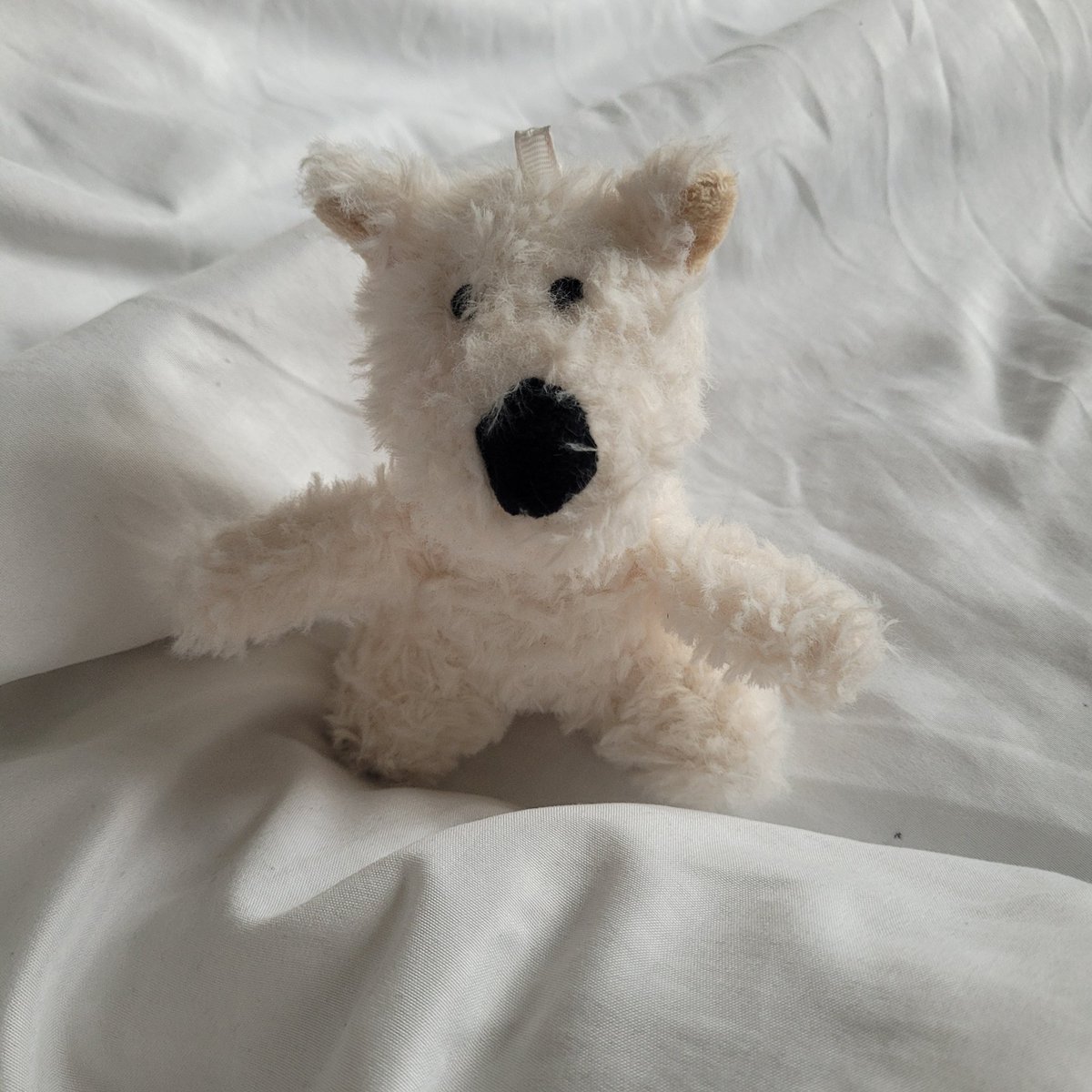 doolseoknet's tweet photo. #manilo #meucachorro #filho https://t.co/YXuv72SVRG