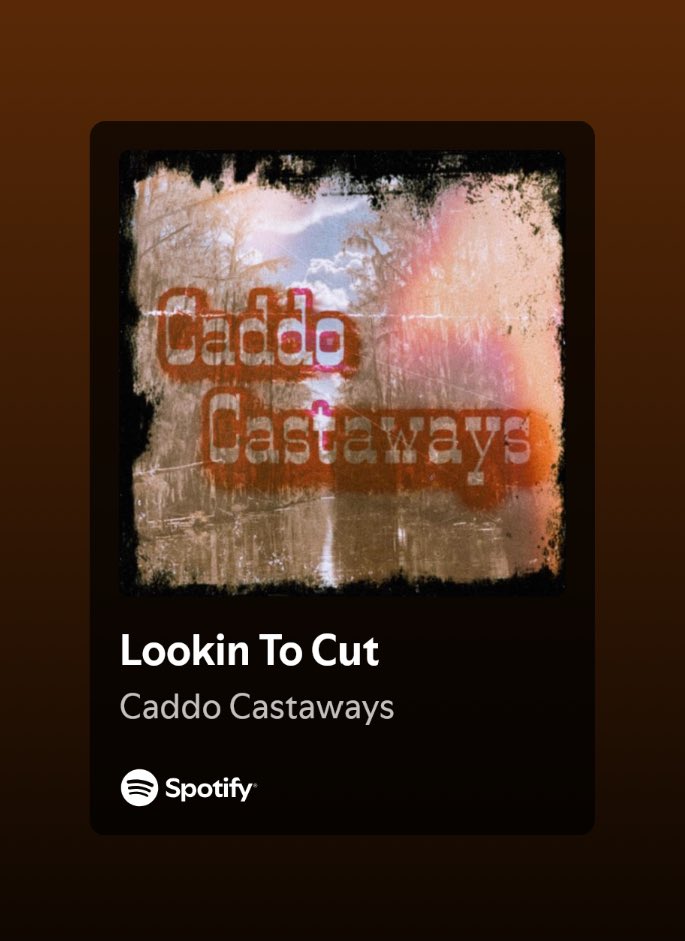 SpaceCowboy🤠 tweet media