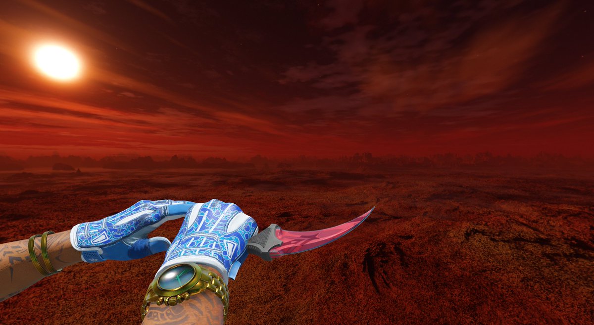 Finally snagged my first Karambit!