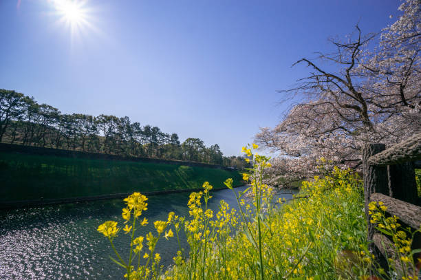 自然は美しく、素晴らしい景色が広がります🌺🍀😊💕💓