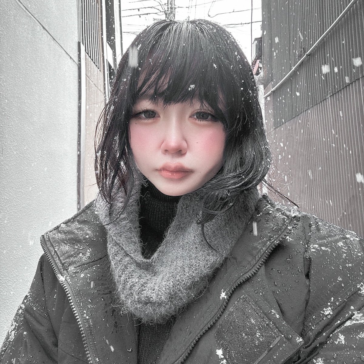 ruuna_070's tweet photo. “ohhhh husband…
you spent too much on hololive…
now we are homeless…” https://t.co/mvyIih1Sb6