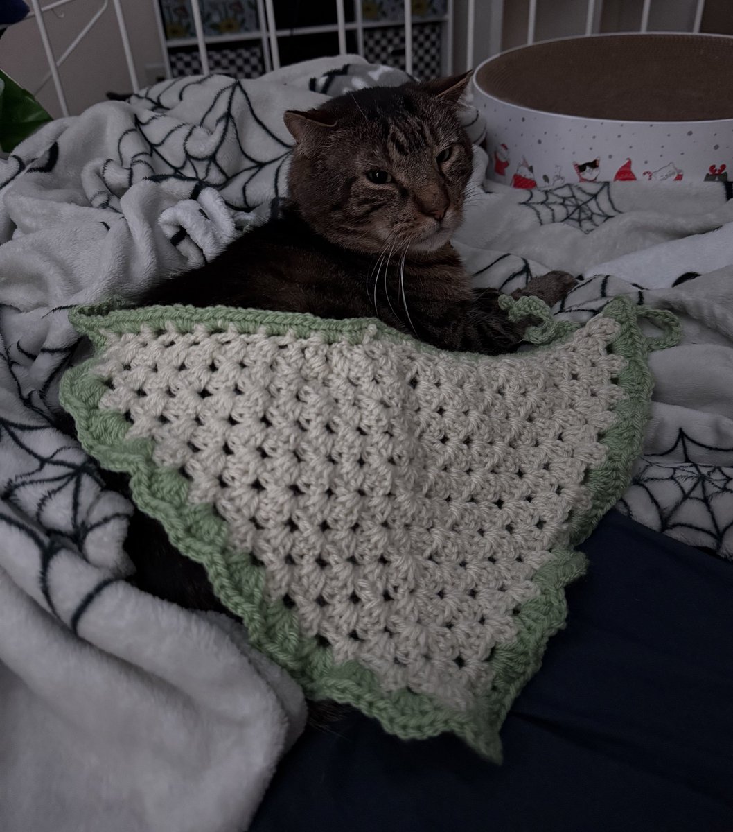 he’s my model