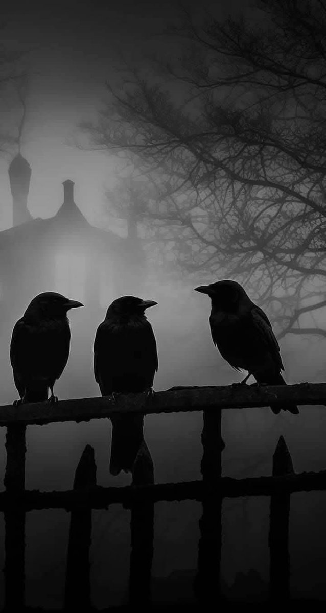 ConnieJoJo2's tweet photo. #darkthings https://t.co/XVDAqhYm6z