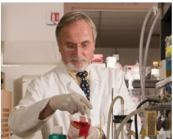 KirillLyapichev's tweet photo. In this post, I would like to share my journey as an international medical graduate striving to conduct impactful research, generate innovative ideas, and address some medical enigmas during my postdoctoral fellowship. #hemepath #pathedu #pathtwitter https://t.co/ePNmtlFlHK
